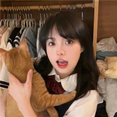 直言真相第三季
